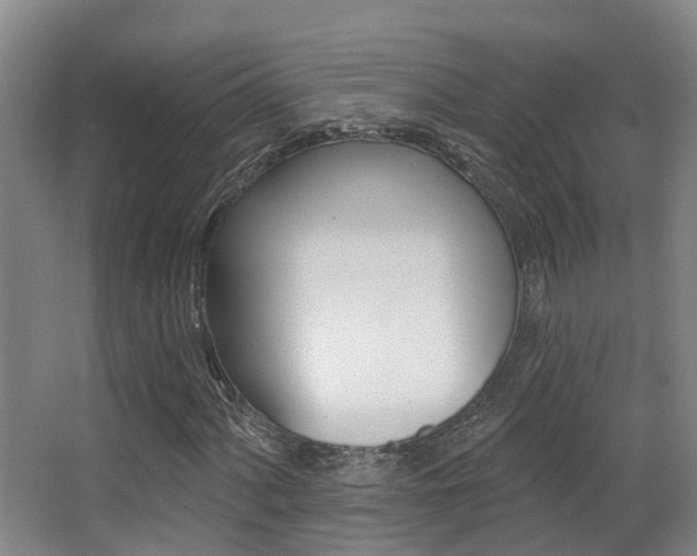 X0000062861060200601130942