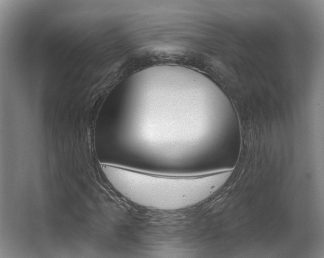 X0000062861061200601130942