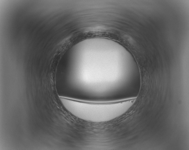 X0000062861062200601130942