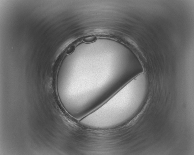 X0000062861066200601130942