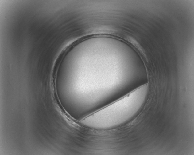 X0000062861072200601130941