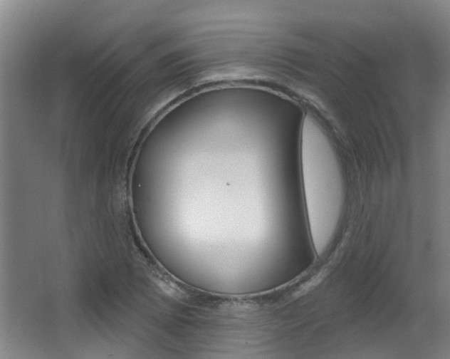 X0000062861073200601130941