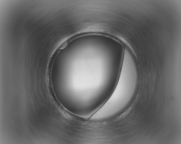 X0000062861077200601130941