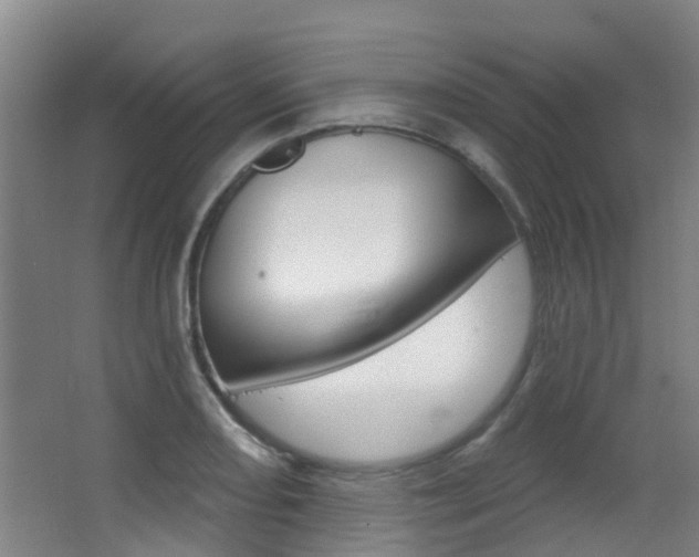 X0000062861082200601130941