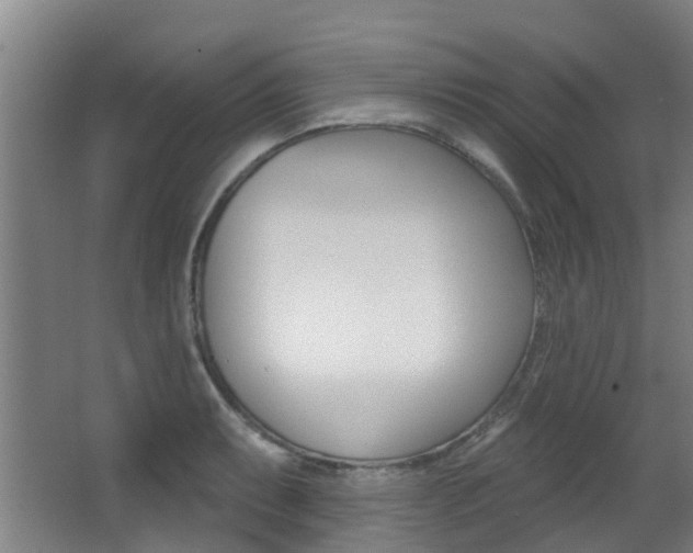 X0000062861087200601130941