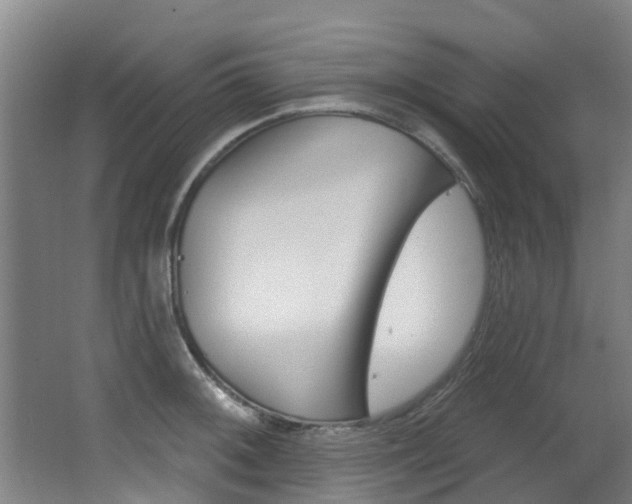 X0000062861092200601130941