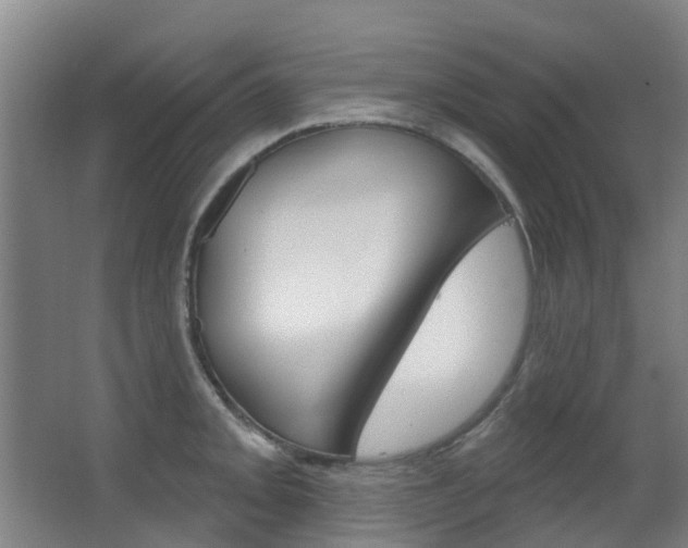 X0000062861093200601130941