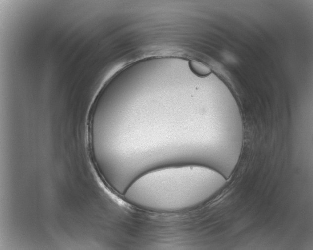 X0000062861095200601130941