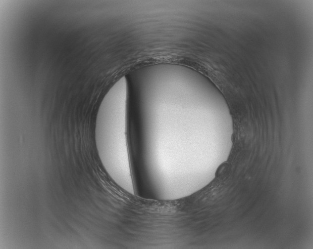 X0000062861106200601130940