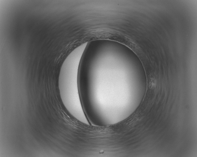 X0000062861108200601130940