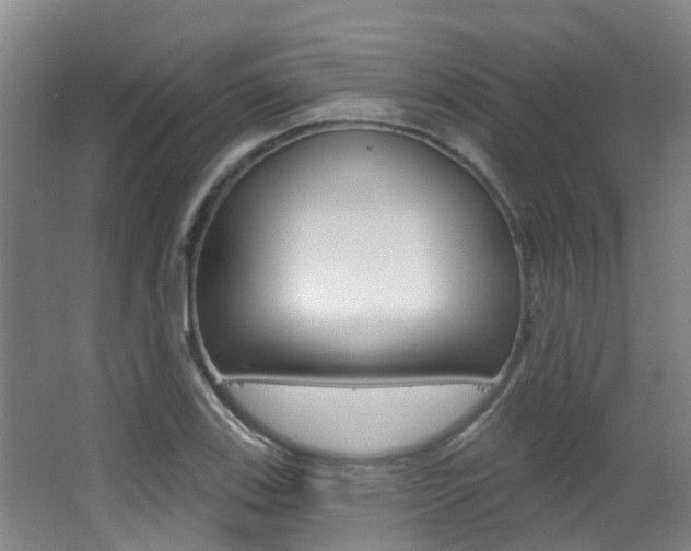 X0000062861123200601130940