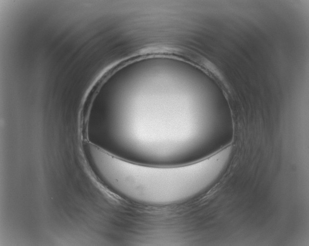 X0000062861124200601130940