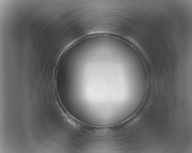 X0000062861129200601130940