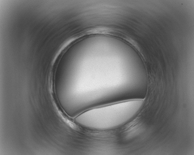 X0000062861131200601130940