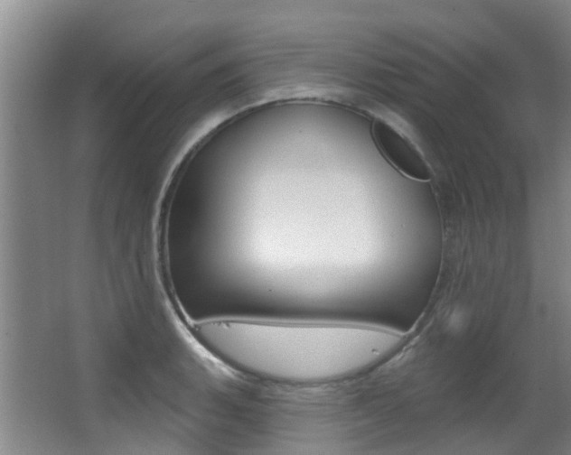 X0000062861135200601130941