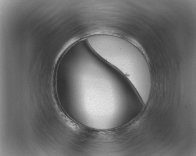 X0000062861138200601130941