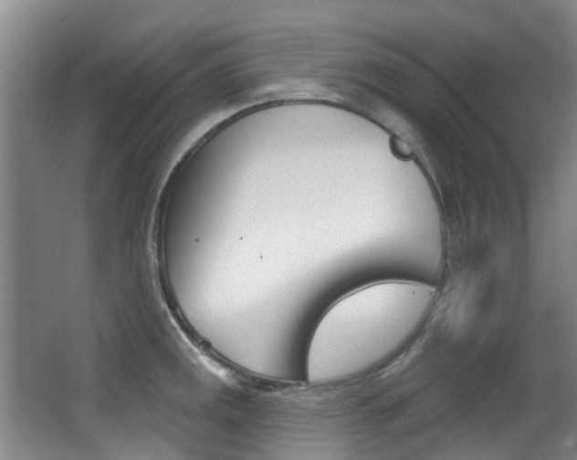 X0000062861141200601130941
