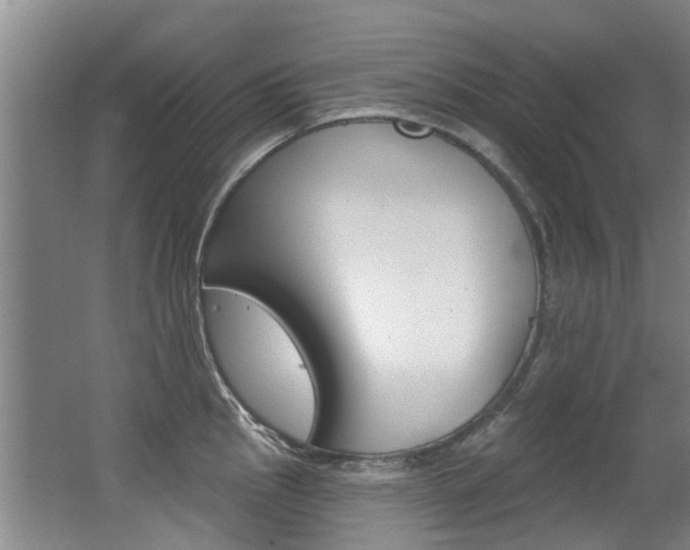 X0000062861145200601130941