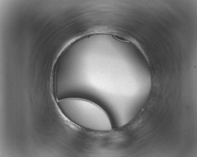 X0000062861147200601130941
