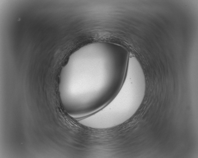 X0000062861153200601130940