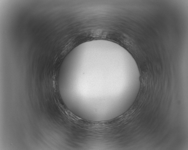 X0000062861154200601130940