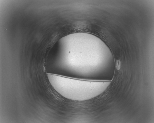 X0000062861155200601130940