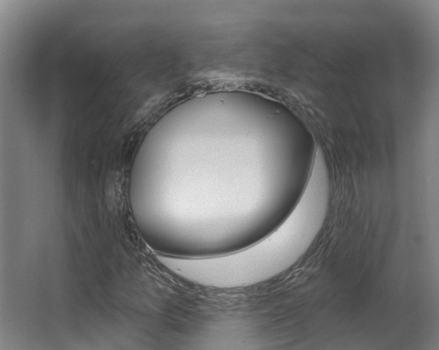 X0000062861157200601130940