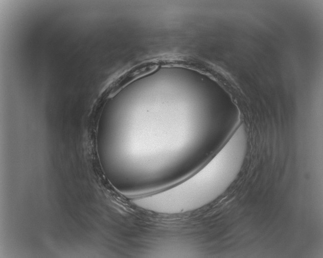 X0000062861160200601130940
