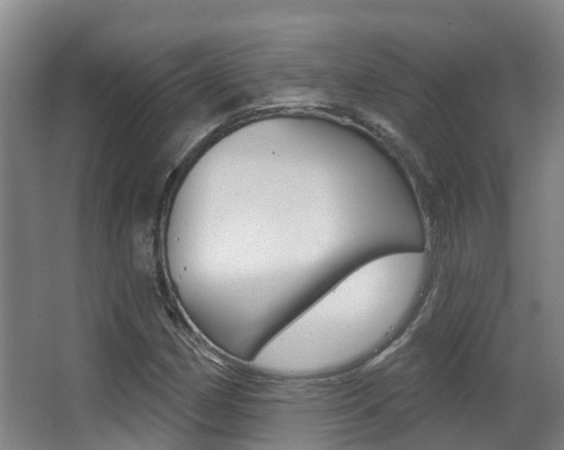 X0000062861162200601130940