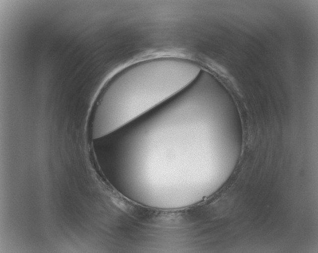 X0000062861174200601130940