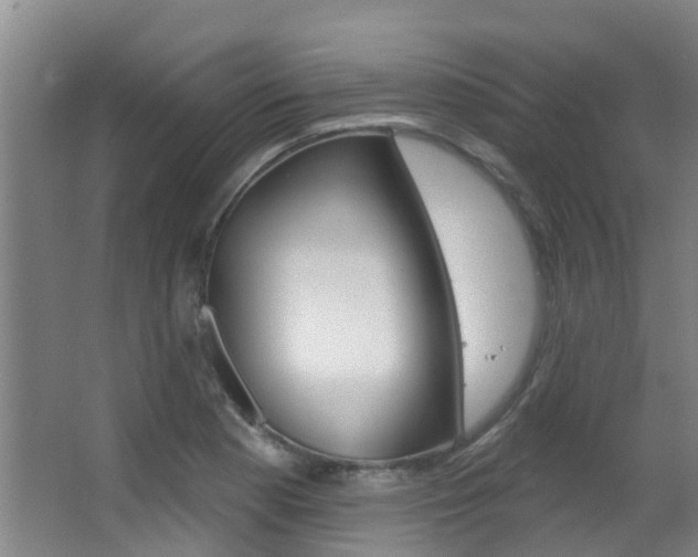 X0000062861177200601130940