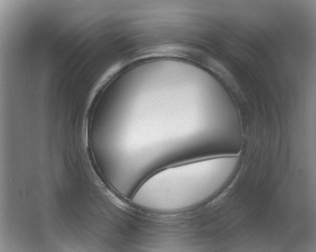 X0000062861180200601130940