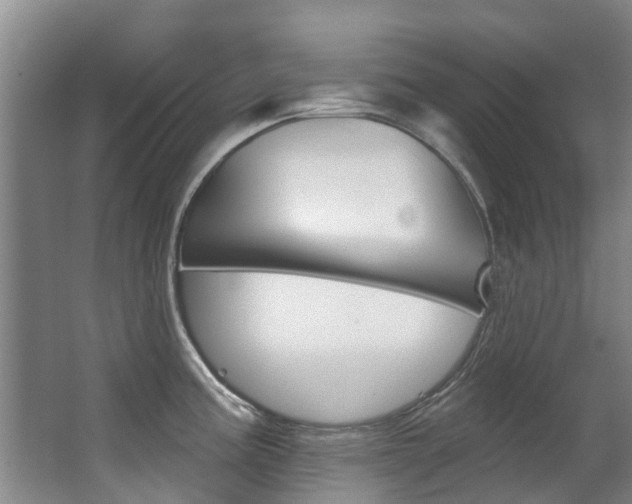 X0000062861195200601130939