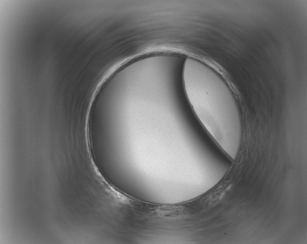 X0000062861199200601130939