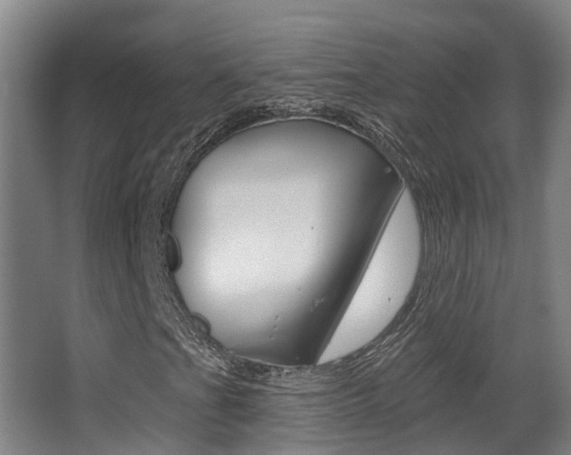 X0000062861201200601130938