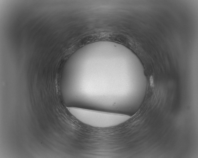 X0000062861203200601130938