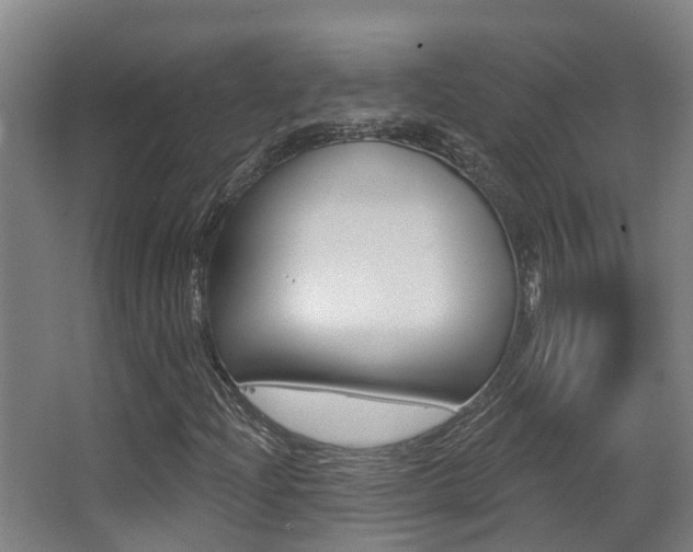 X0000062861204200601130938