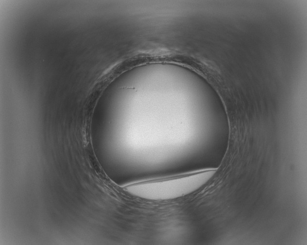 X0000062861205200601130938