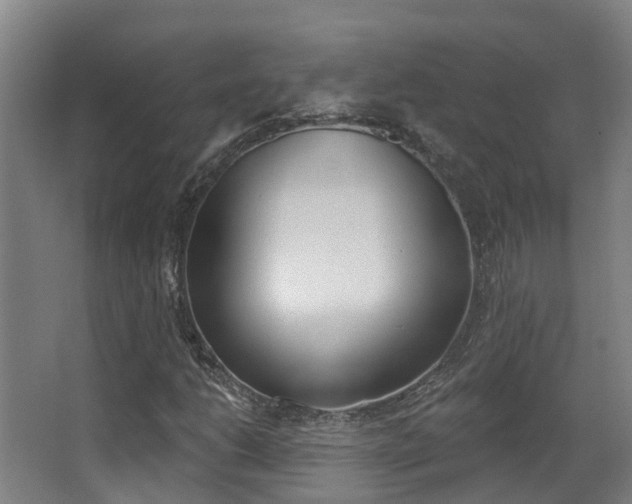 X0000062861206200601130938