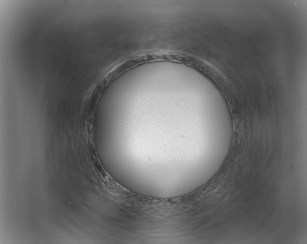 X0000062861207200601130938