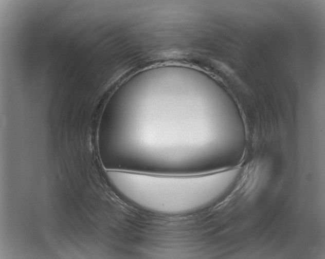 X0000062861209200601130938