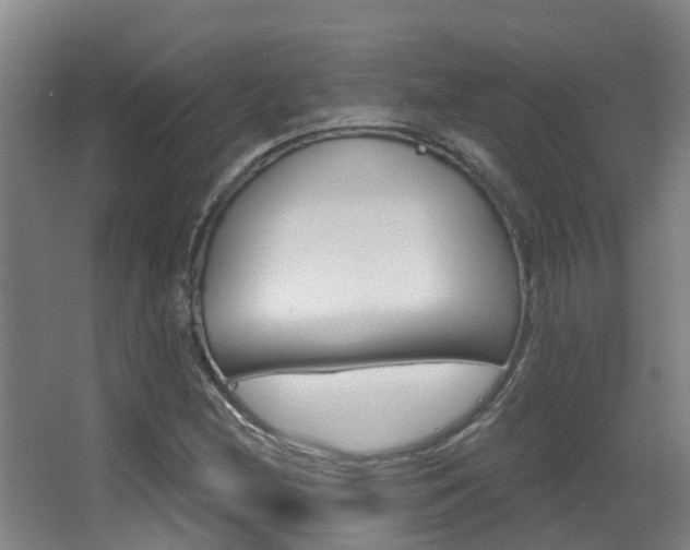 X0000062861212200601130939