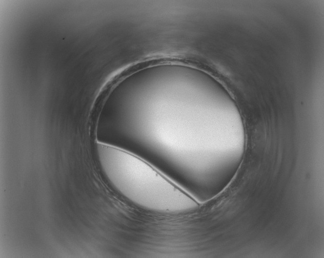 X0000062861214200601130939