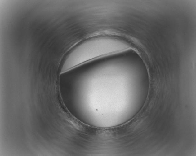 X0000062861217200601130939