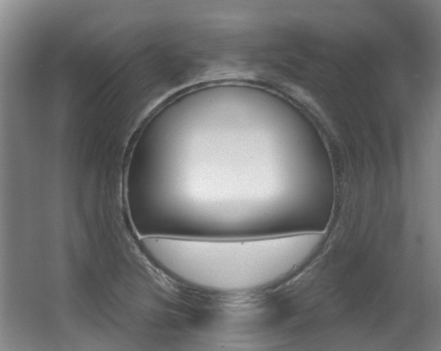 X0000062861220200601130939