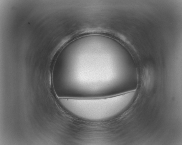 X0000062861221200601130939