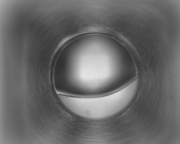 X0000062861222200601130939