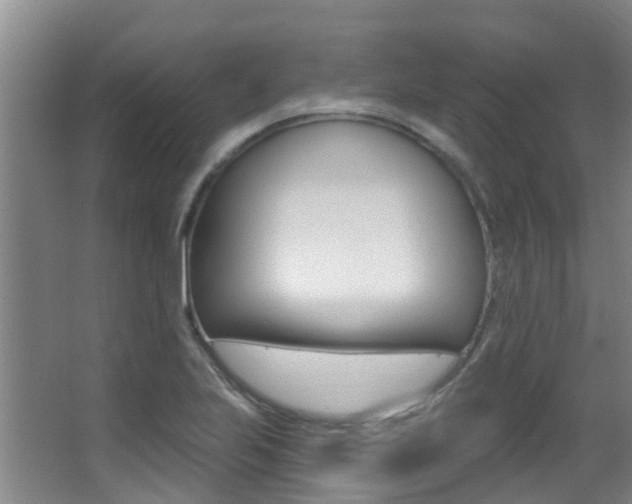 X0000062861223200601130939