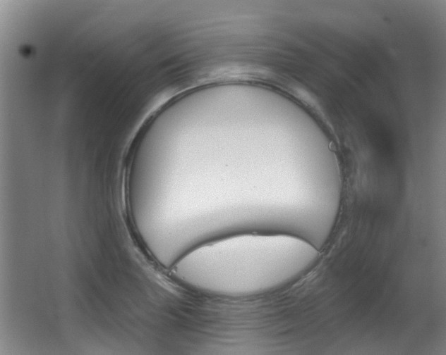 X0000062861227200601130939
