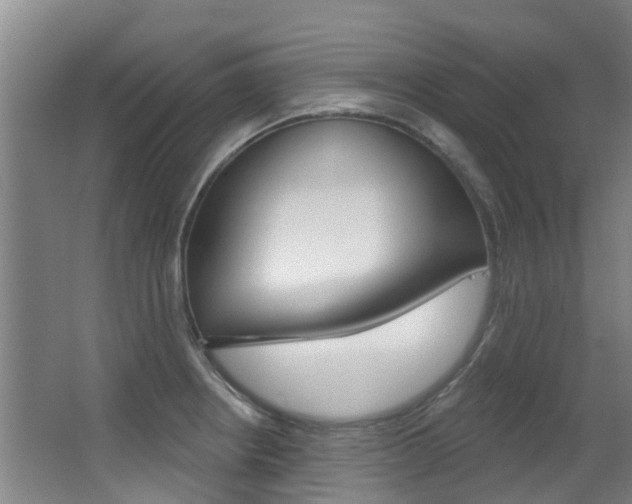 X0000062861234200601130939
